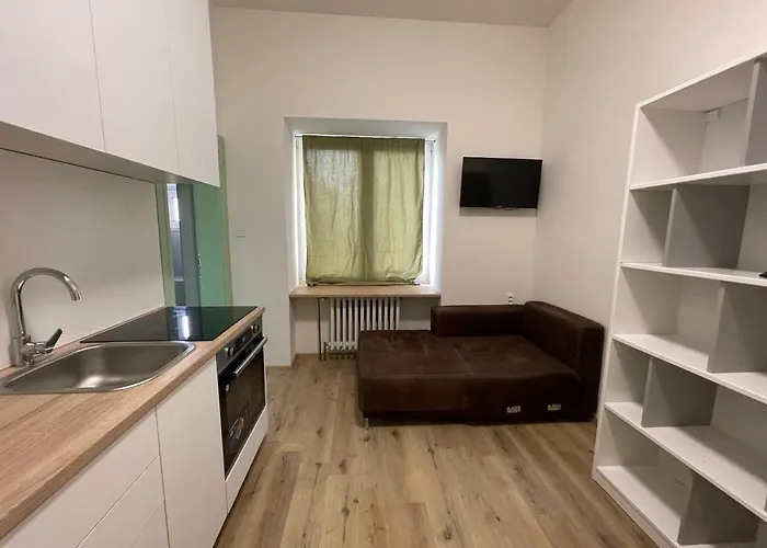 Appartement Red&black Centr, Na Hradbach 118 *